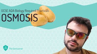 AQA GCSE Biology 91 Required Practical  Osmosis [upl. by Eriam211]