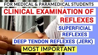 REFLEXES EXAMINATION  CLINICAL LAB  PHYSIOLOGY PRACTICALS [upl. by Anerrol605]