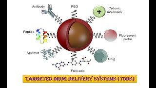 Targeted Drug Delivery Systems TDDS in depth [upl. by Veats913]