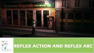 REFLEX ACTION AND REFLEX ARCPART 01 [upl. by Airamas]