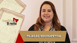 Explica Direito Filiação Socioafetiva  2019 [upl. by Ibot]