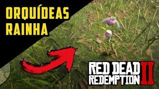 RED DEAD REDEMPTION 2 – ORQUÍDEAS RAINHA ITENS EXÓTICOS  RDR2 100 PTBR [upl. by Iadahs]