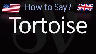 How to Pronounce Tortoise CORRECTLY [upl. by Dorcas]