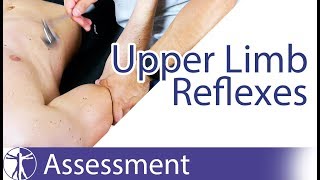 Upper Limb Deep Tendon Reflexes  Peripheral Neurological Examination [upl. by Natividad]