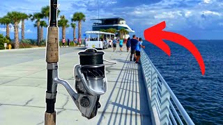 Fishing the NEW STPETE PIER Variety of Fish [upl. by Anwahsal463]