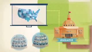 FLVS Civics Foundations  The Branches of Government [upl. by Nadabas]