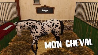 MON CHEVAL  HORSEWORLD [upl. by Kurr]