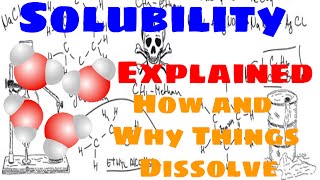 Solubility Explained [upl. by Gurtner102]