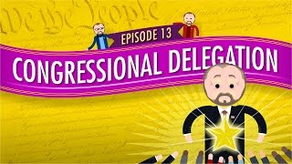 Congressional Delegation Crash Course Government and Politics 13 [upl. by Humpage]