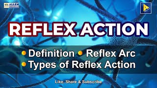 What is Reflex Action [upl. by Eidaj]