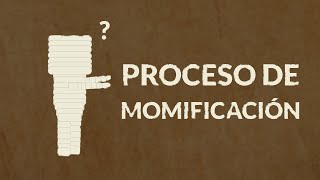 ¿Cómo se momificaban a los faraones Proceso de momificación  Animación  Hidden Nature [upl. by Anes318]