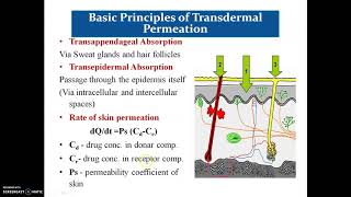 Transdermal Drug Delivery System [upl. by Aliakam]