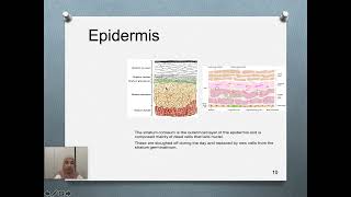 Transdermal Drug Delivery Systems Part1 [upl. by Eanil]