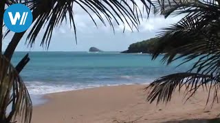 Guadeloupe traveldocumentary from the season quotCaribbean Momentsquot [upl. by Horne]