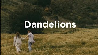 Dandelions  sped up Tiktok version [upl. by Bruner326]