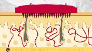 Transdermal drug delivery system TDDS [upl. by Smart]