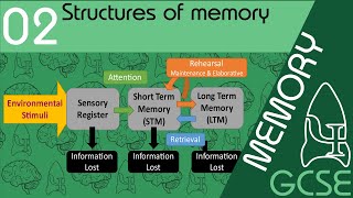 Stuctures of memory  Memory GCSE Psychology AQA [upl. by Bettencourt521]