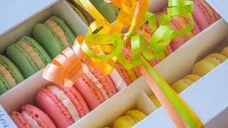 Macarons Rezept Alle Tipps zum Backen von Macarons [upl. by Aivekal149]