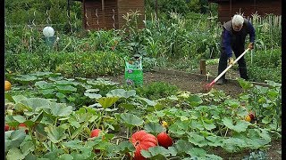 COMMENT AMÉLIORER LE SOL AVEC UN AMENDEMENT ORGANIQUE NATUREL ET PRÊT À LEMPLOI [upl. by Jansson]