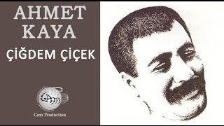 Çiğdem Çiçek Ahmet Kaya [upl. by Telocin]