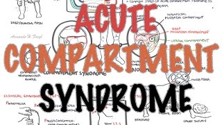 Compartment Syndrome  Overview signs and symptoms pathophysiology treatment [upl. by Charity]