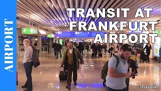 TRANSIT WALK AT FRANKFURT Airport FRA Terminal 1  Connection Flight Transfer Arriving amp Departing [upl. by Wellesley]