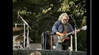 Grateful Dead 1131991 Polo Fields SF CA Audio Upgrade [upl. by Hailed]