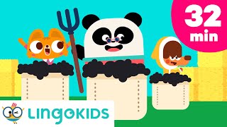 Baa Baa Black Sheep  More Farm Animal Songs for Kids 🐑🎶  Lingokids [upl. by Ramin]